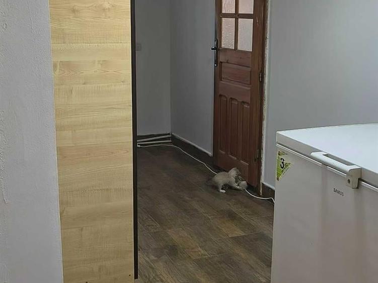 Casă individuală cu 3 camere cu Teren 10500 Mp în Tișăuți
