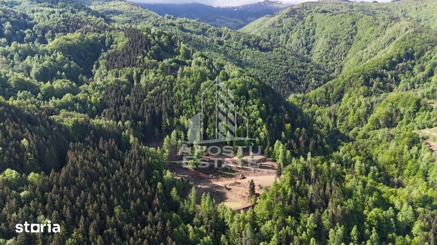 Teren de 18000 mp, în Central
