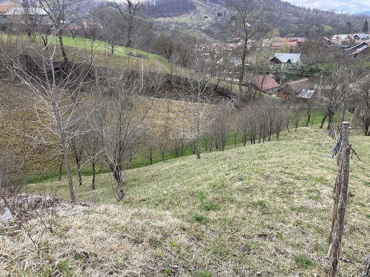 vand 2300m2 teren intravilant comuna secaria