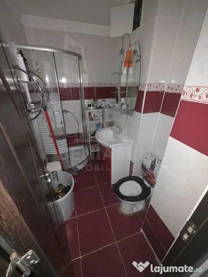 Apartament cu 2 camere semidecomandat în Brazda lui Novac