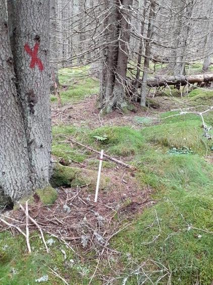 Teren agricol intravilan în Moroeni