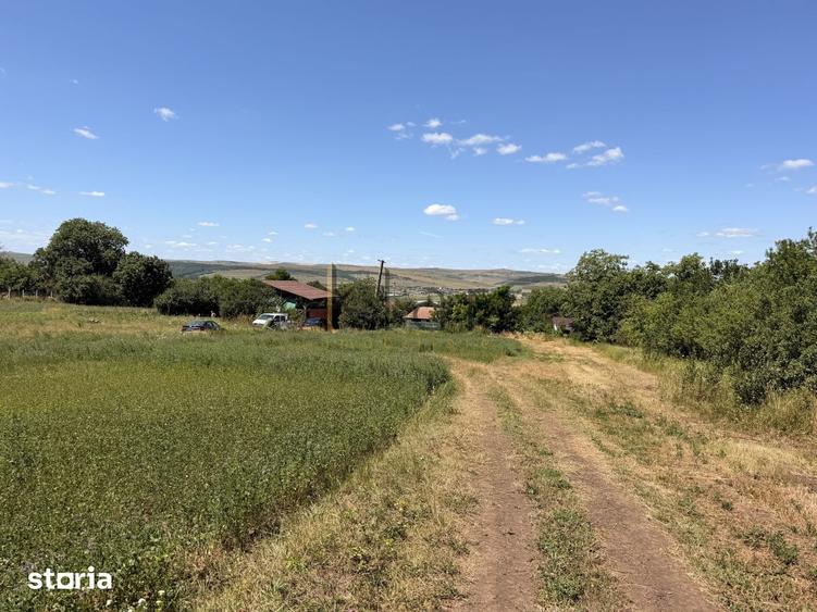 Teren 2.900 mp - 900 mp intravilan Jucu de Sus Panorama Investitie - 5
