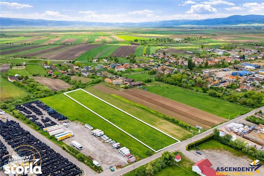Teren de 5000 mp, în Central