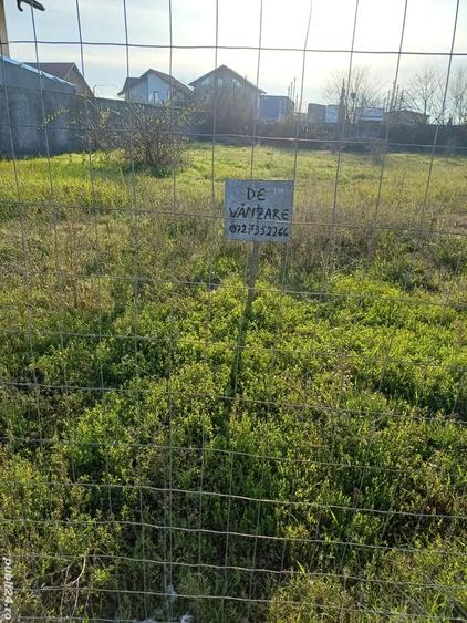 Teren de 1000 mp, în Schela