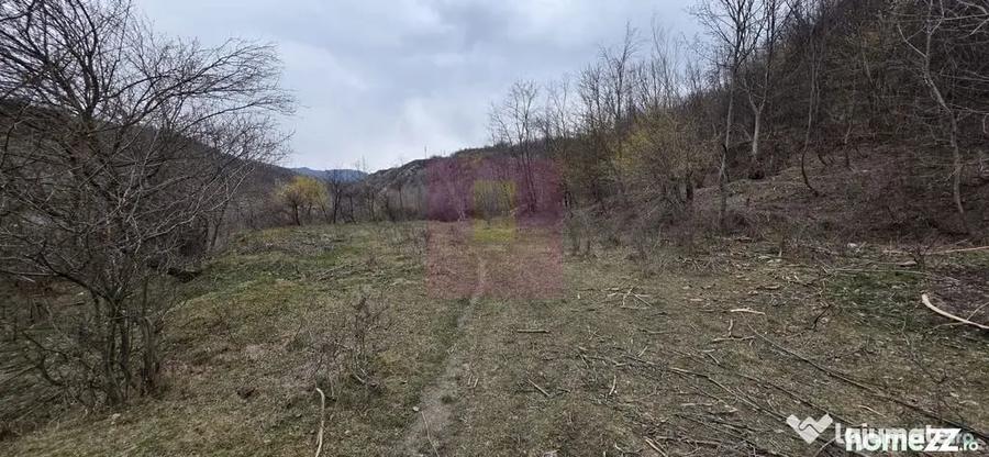 Teren de vanzare in Brebu - Raul Doftana - 8