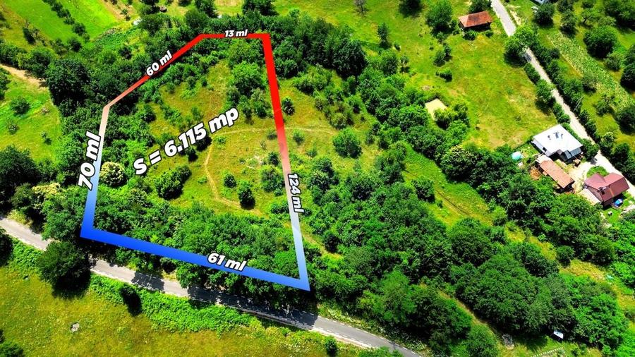 Teren agricol intravilan de 6115 mp, în Dănești