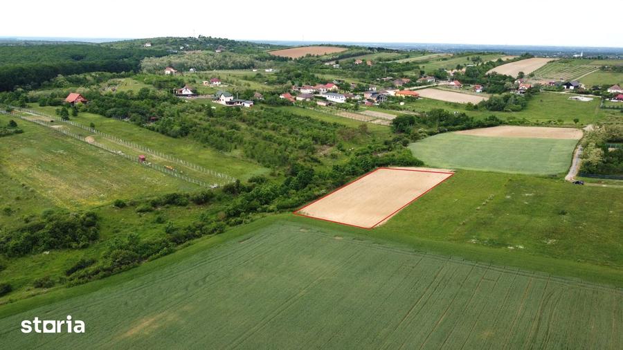Teren de 2935 mp, în Viile Satu Mare