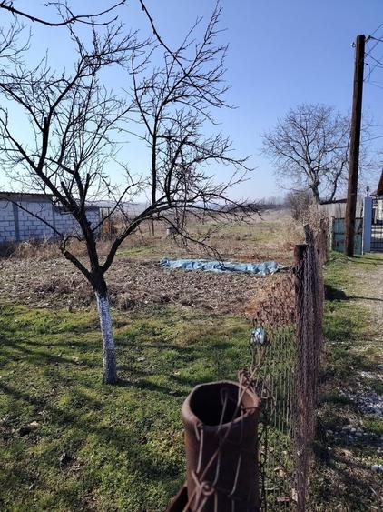 Teren de 2500 mp, în Proaspeți