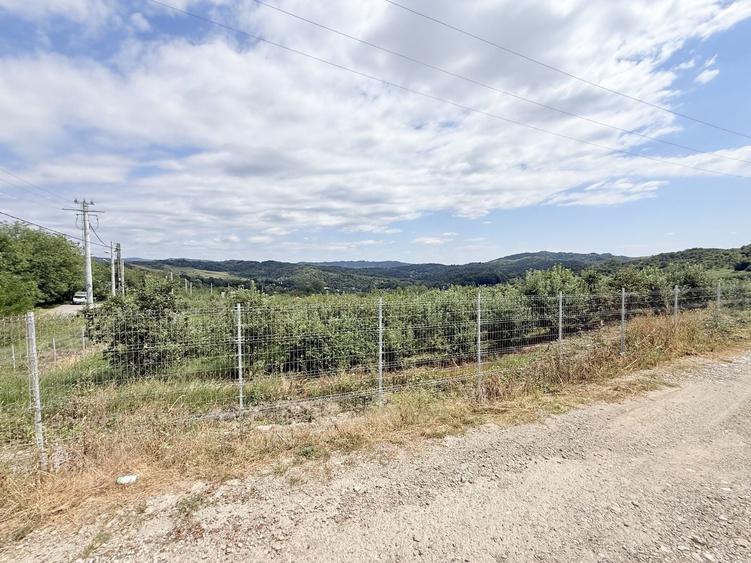 Teren Construcții intravilan de 2721 mp, în Valea Târsei