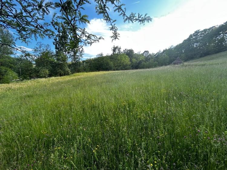 Teren agricol intravilan de 12259 mp, în Galați