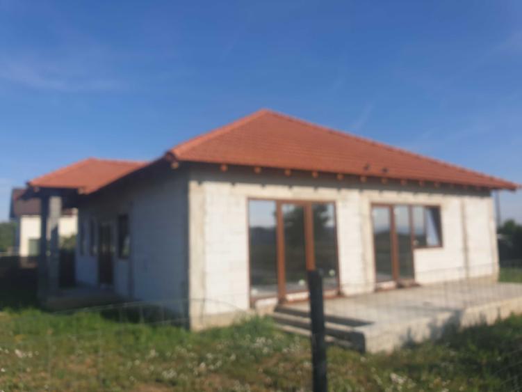 Casă cu 3 camere în Cicir