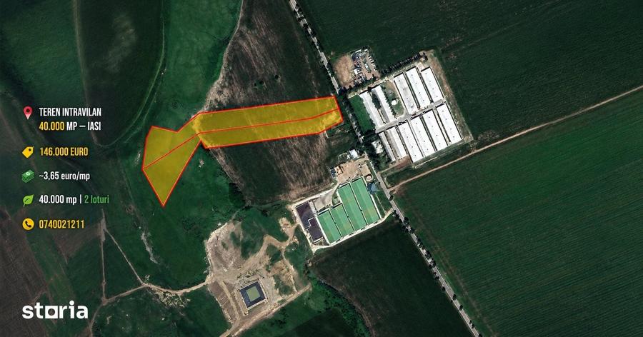 Teren intravilan arabil 40.000 m2, Targu Frumos - Iasi - 5