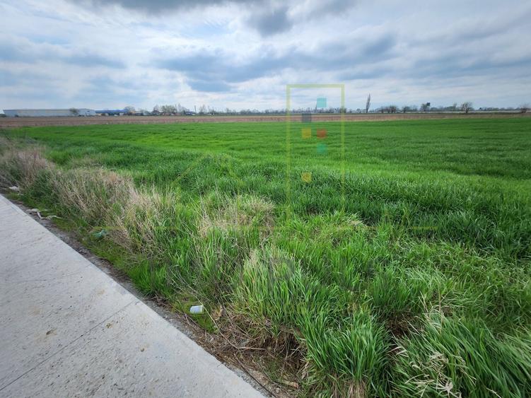 Teren agricol intravilan de 10000 mp, în Șag