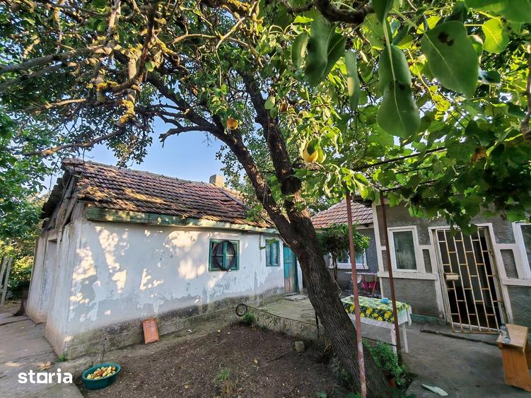 Comision0%-AlmanImobiliare-OazaDeCurte-1100Mp-CasaRenovabila-Mangalia - 1