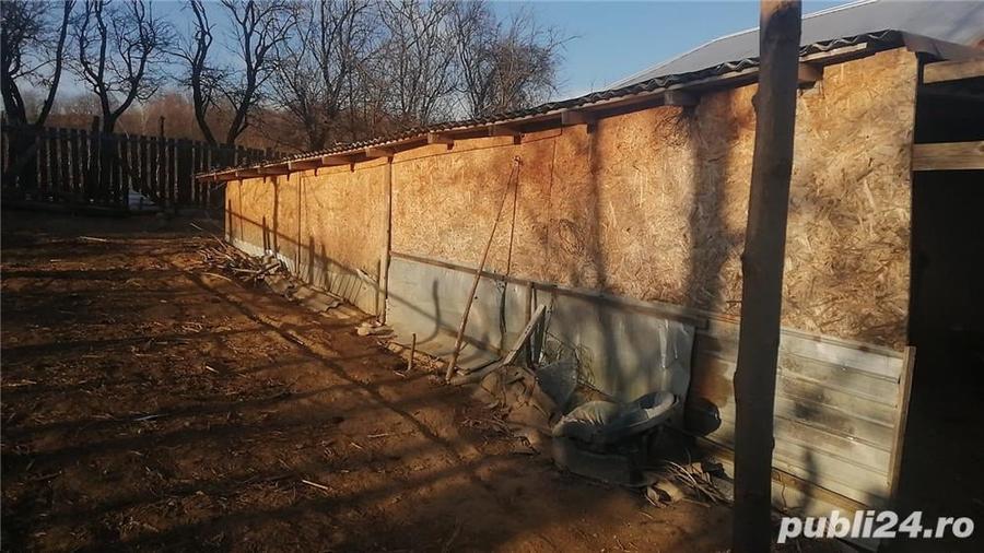 Casă cu 4 camere cu Teren 2000 Mp în Scurta