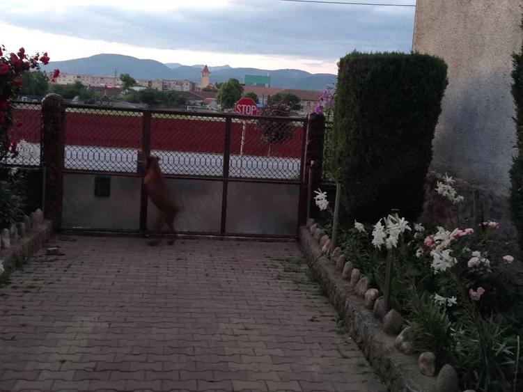 Casă cu 2 camere cu Teren 1134 Mp în Central