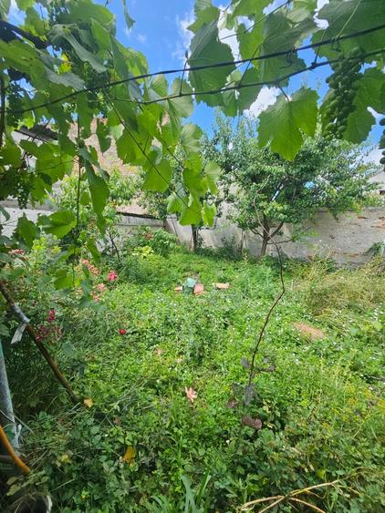 Casă individuală cu 4 camere cu Teren 489 Mp în Central