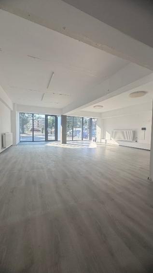 Spațiu comercial, de 60 mp, în Terezian