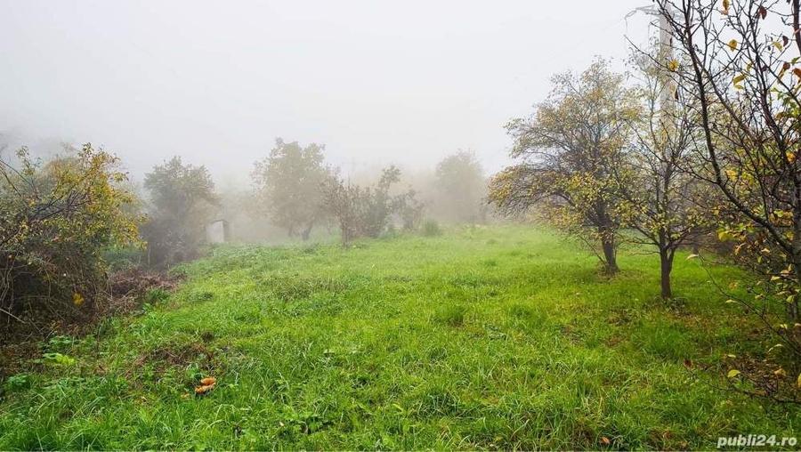 Teren de 1349 mp, în Podgoria