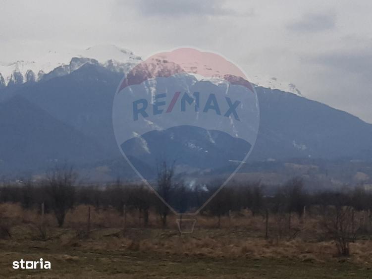 Teren de 10000 mp, în Pănicel
