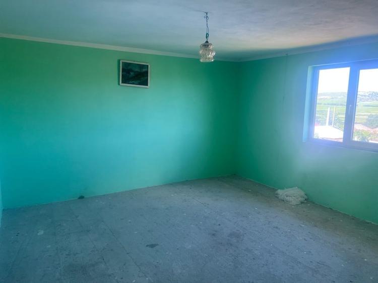 Casa 300 mp,afacere (cămin bătrâni, pensiune), zona Breasta - 15
