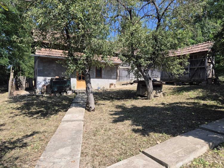 Casă cu 3 camere în Răzoare