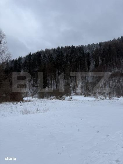 Cabana la munte in inima padurii la 15 km de Brasov, zona Zizin - 7