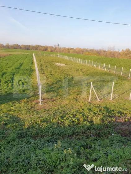 Teren de 1900 mp, în Est