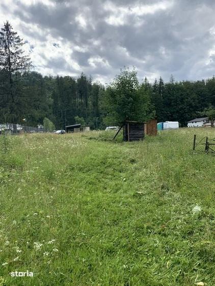 Teren de vanzare Valea Stanii - Gheia ( Prahova ) - 3