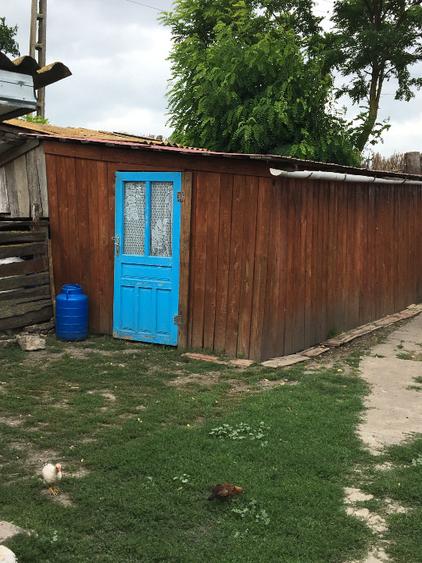 Casă individuală cu 5 camere cu Teren 4500 Mp în Viișoara