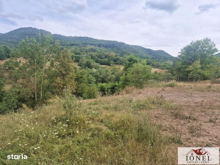 Casă cu 3 camere în Poiana Ampoiului