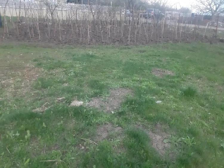 Teren de 1000 mp, în Lunca Cetățuii