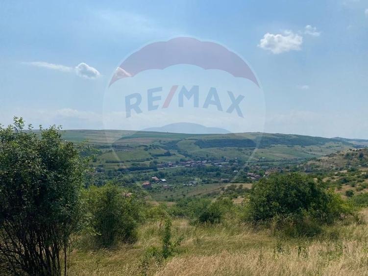 Teren Construcții intravilan de 11000 mp, în Mera