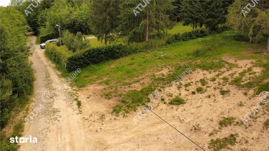 Teren de 3000 mp, în Porumbacu de Jos