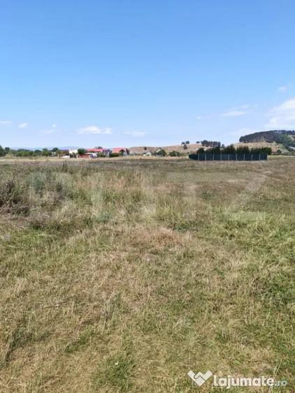 Oportunitate!!!! TEREN INTRAVILAN CU SUPRAFATA DE 1279 MP - Sanpetru (Brasov) - 5