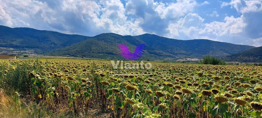 Teren agricol extravilan de 900 mp, în Poplaca