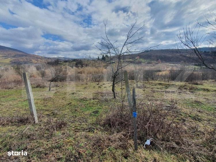 Teren extravilan, peste 80 de ari de vanzare in Bistrita, pe Valea Ghi - 1