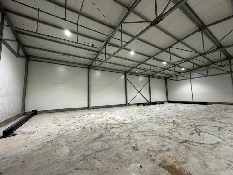 Drumul intre Tarlale – zona Catelu, hala 595 mp - 2