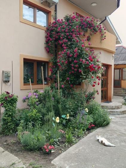 Casă cu 5 camere cu Teren 500 Mp în Valu lui Traian
