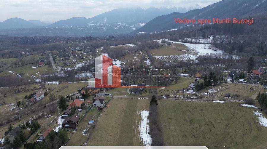 Teren Bran Tohanita | Intravilan 1.379 mp | Vedere Panoramică| - 9