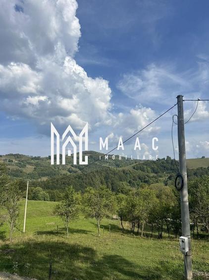 Teren Construcții intravilan de 14242 mp, în Sohodol