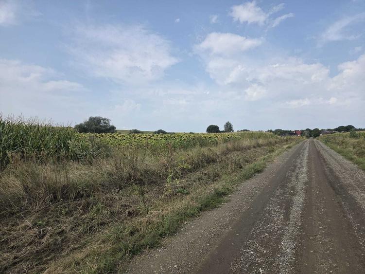 Teren de 2500 mp, în Șcheia