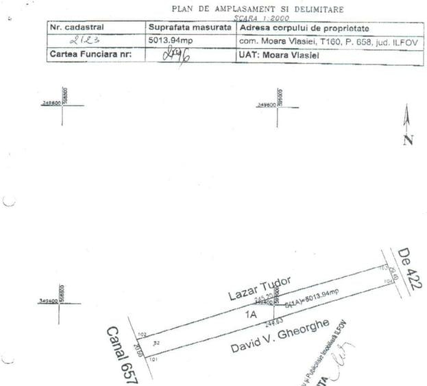 Vanzare teren 10.000 mp langa padure Moara Vlasiei - 5