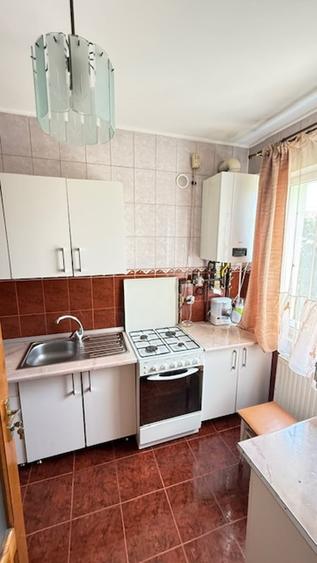 BAIA SPRIE - spre Cavnic Vila D+P+E 168mp + anexa cu teren 1526mp! - 13