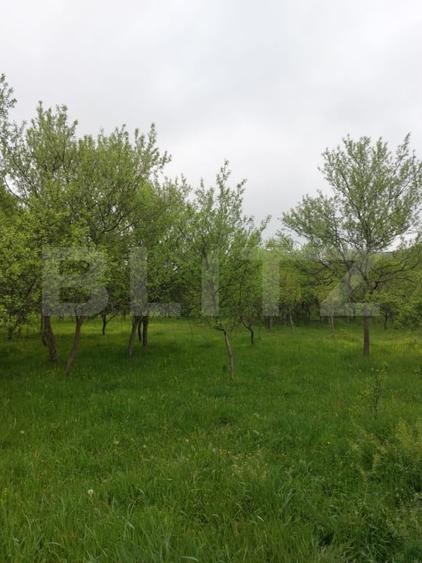 Teren agricol extravilan de 6500 mp, în Ulieș