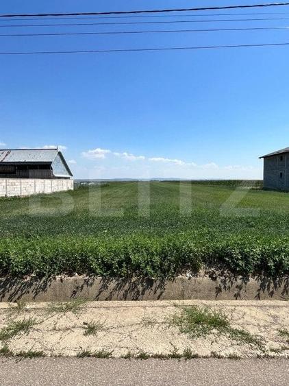 Teren intravilan, 9782 mp, zona Corocaiesti, Suceava - 3
