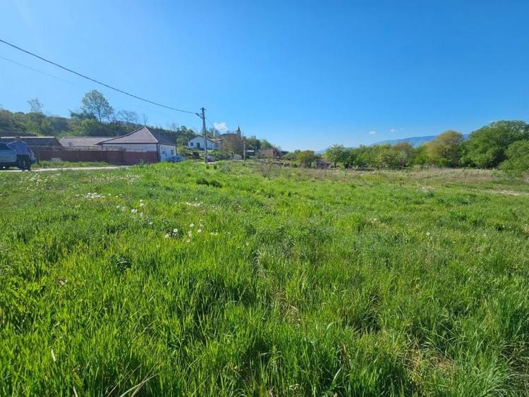 Teren Construcții intravilan de 2600 mp, în Mohu