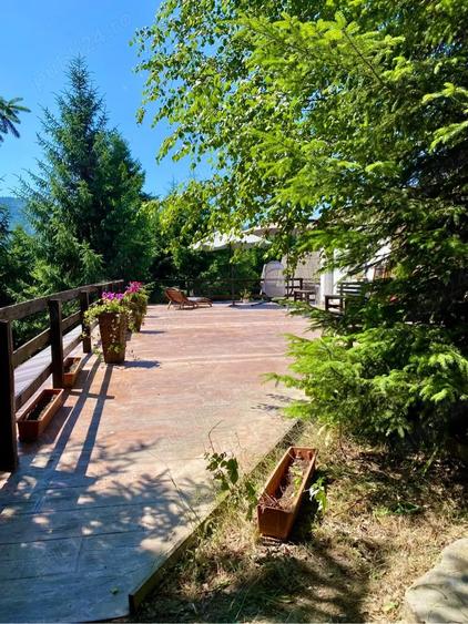 Casa Pensiune de vanzare in Colibita - 10