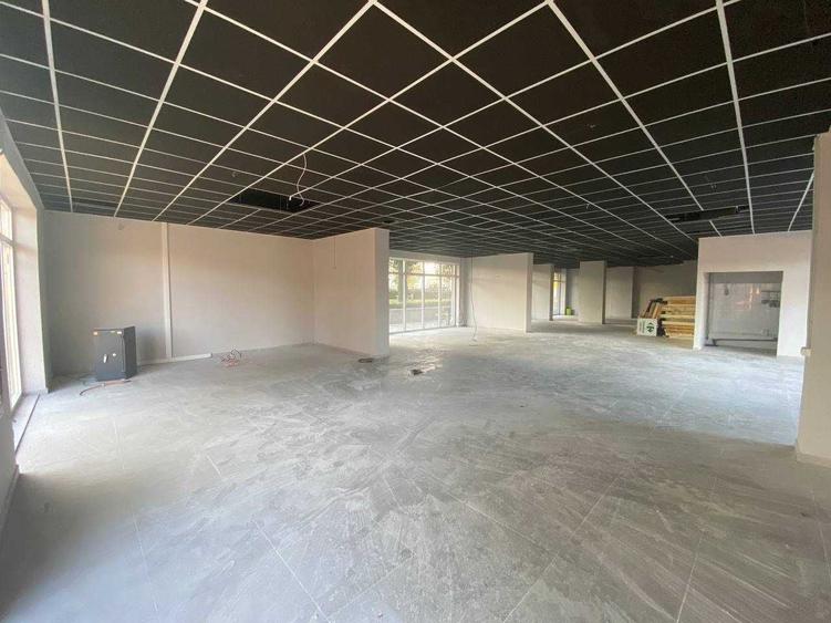 Spațiu comercial, de 230 mp, în Nufărul