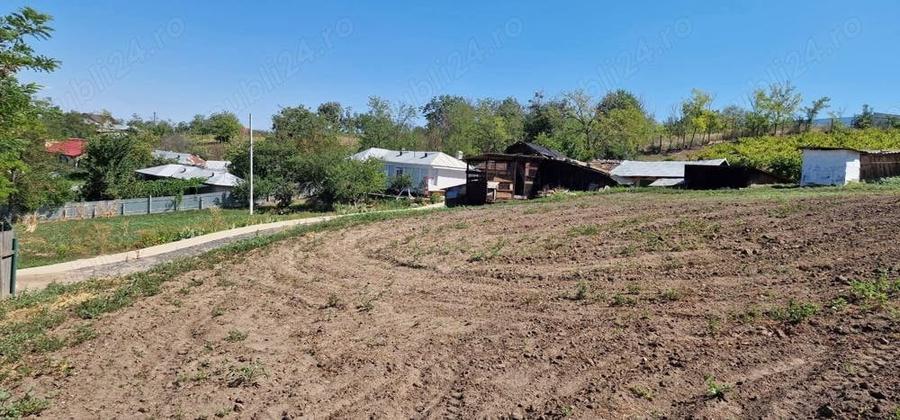 Casă cu 3 camere cu Teren 5000 Mp în Odaia Manolache